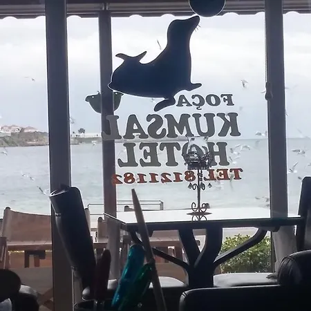 Kumsal Foca